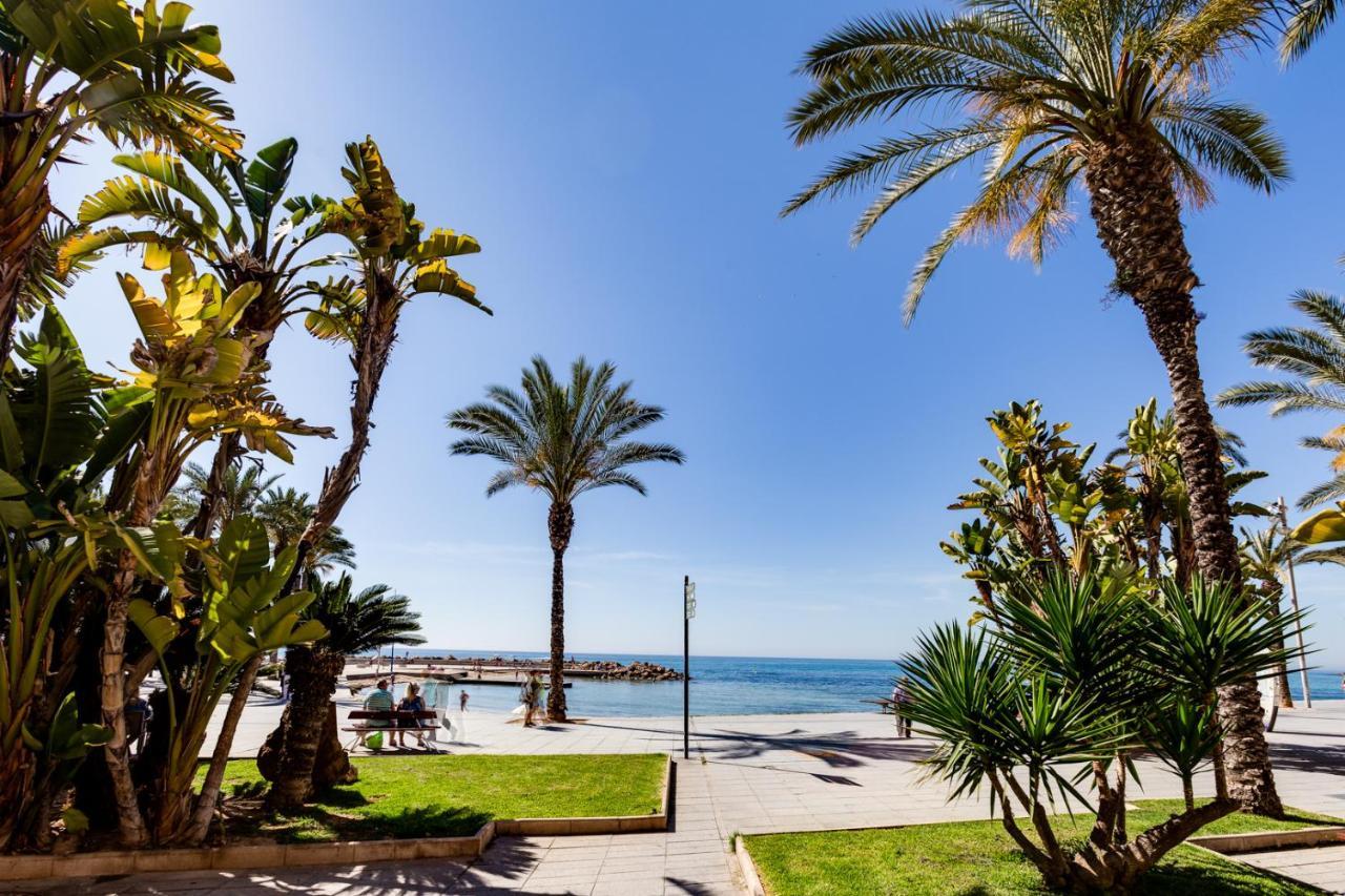 Apartamento Caballero De Rodas Torrevieja Zewnętrze zdjęcie